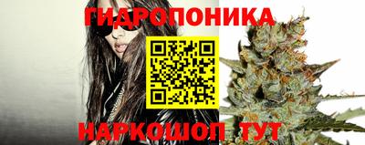 spice Гусь-Хрустальный