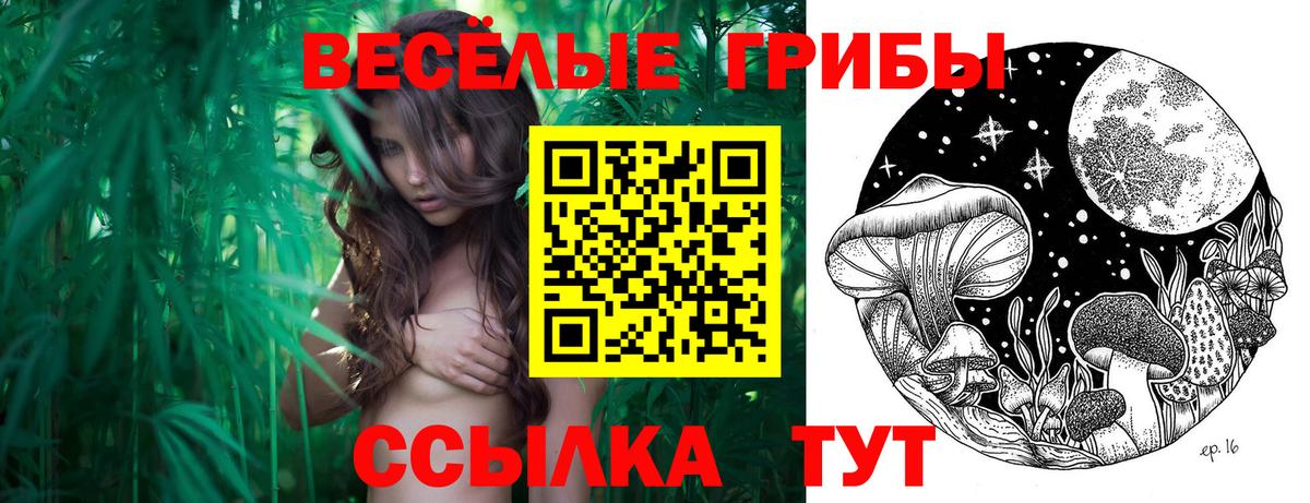 Мирный  Галлюциногенные грибы MAGIC MUSHROOMS  Псилоцибиновые грибы Psilocybe  Вход с VPN 