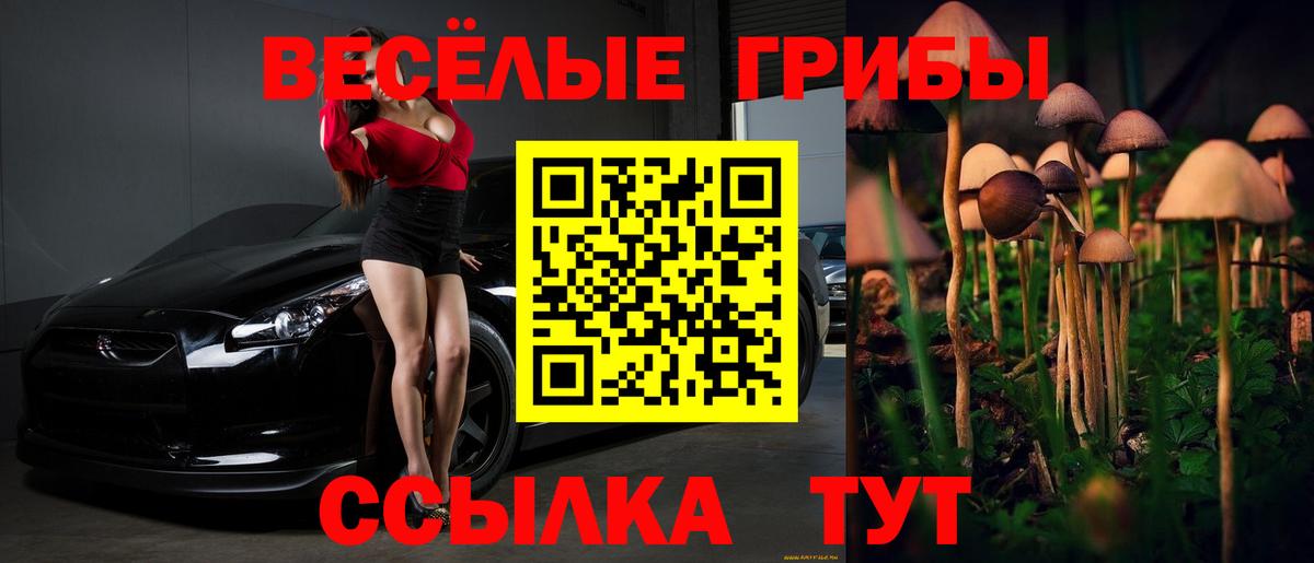 Галлюциногенные грибы GOLDEN TEACHER Мирный